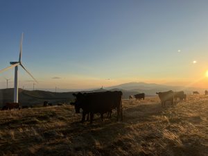 Форумът на SCO приема инициативата на Нингбо за екологично сътрудничество с ниски въглеродни емисии