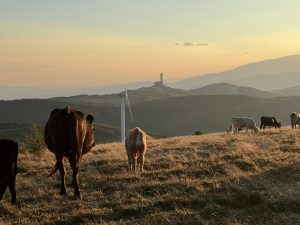 Китай: Ключов пазар за локализирано разнообразно производство
