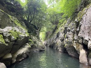 Китай даде ход на ново лекарство срещу тумори