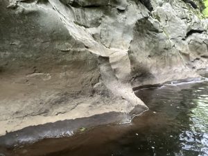 Новите насоки запазват характера на Daxue Road непокътнат