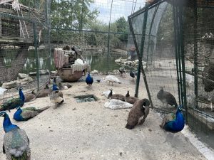 Смяната на световната индустриална политика представлява рискове, казват експертите