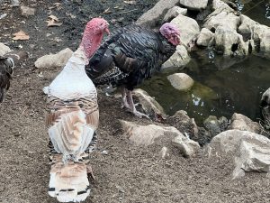 Китай настоява за реформа на висшето образование с акцент върху технологиите и индустрията