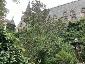 Китайският президент назначи нови посланици по света