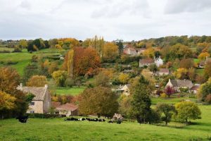Country market favoured buyers in Q2