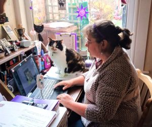 Pets charity slams House of Lords pet change in Renters’ Rights Bill