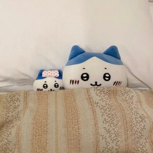 Tenant photographed sleeping in HMO property listing