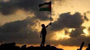 Планът на Газа на Тръмп: Хамас е готов за мир, тъй като Израел се подготвя за своето „незабавно изпълнение“
