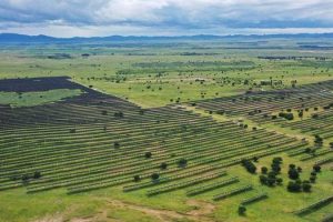 GEC стимулира растежа на чистата енергия