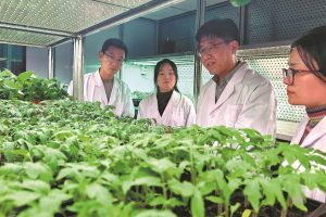 Учен по растенията отличен за приноса на живота си