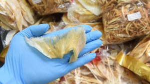 6,5% от перките на акули, продадени в Хонконг, са защитени, много повече от отчетеното: проучване