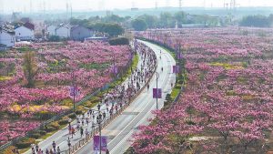 Бегачите се състезават през цъфнали праскови